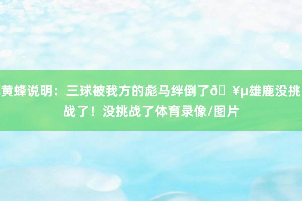 黄蜂说明:三球被我方的彪马绊倒了🥵雄鹿没挑战了!没挑战了体育录像/图片