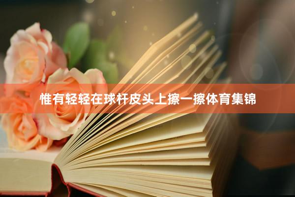 惟有轻轻在球杆皮头上擦一擦体育集锦