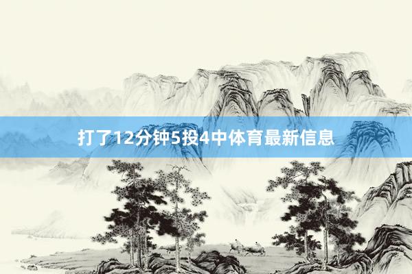 打了12分钟5投4中体育最新信息