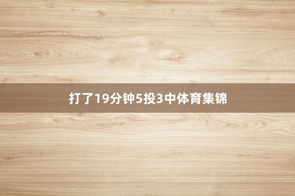 打了19分钟5投3中体育集锦