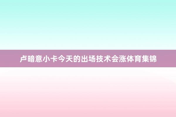 卢暗意小卡今天的出场技术会涨体育集锦