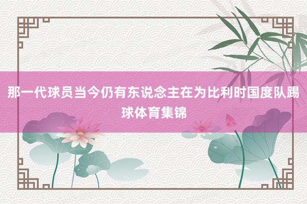 那一代球员当今仍有东说念主在为比利时国度队踢球体育集锦