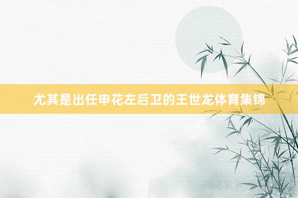 尤其是出任申花左后卫的王世龙体育集锦