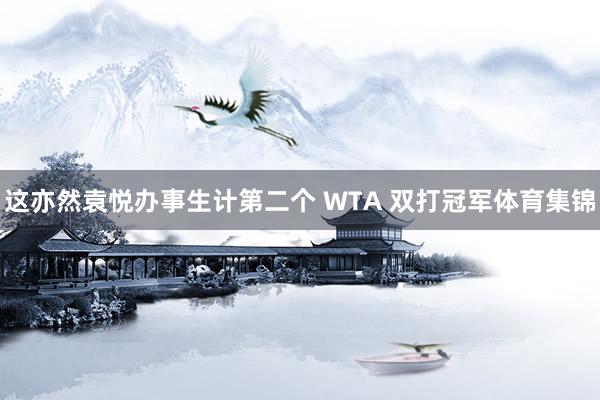 这亦然袁悦办事生计第二个 WTA 双打冠军体育集锦