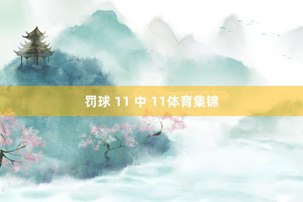 罚球 11 中 11体育集锦