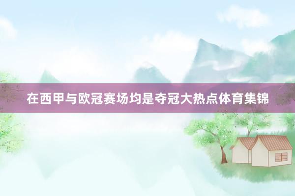 在西甲与欧冠赛场均是夺冠大热点体育集锦