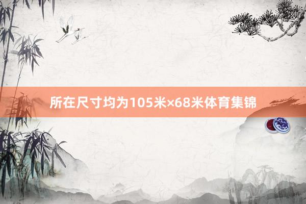 所在尺寸均为105米×68米体育集锦