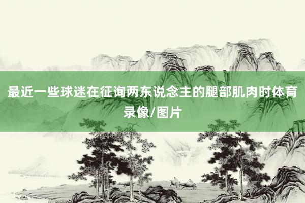 最近一些球迷在征询两东说念主的腿部肌肉时体育录像/图片