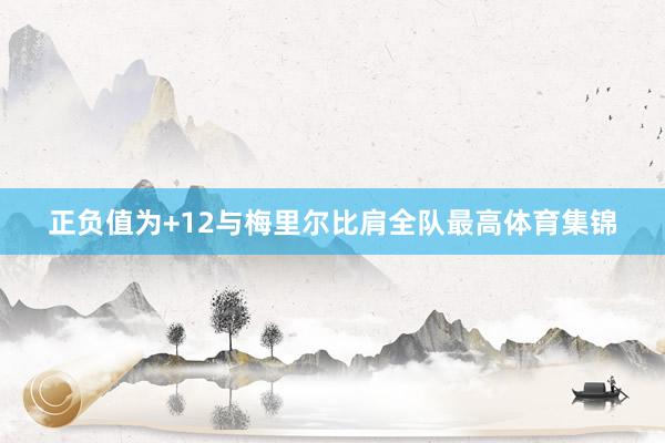 正负值为+12与梅里尔比肩全队最高体育集锦