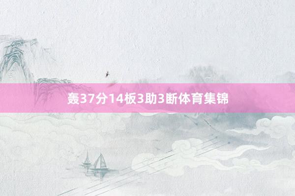 轰37分14板3助3断体育集锦