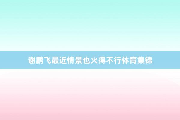 谢鹏飞最近情景也火得不行体育集锦