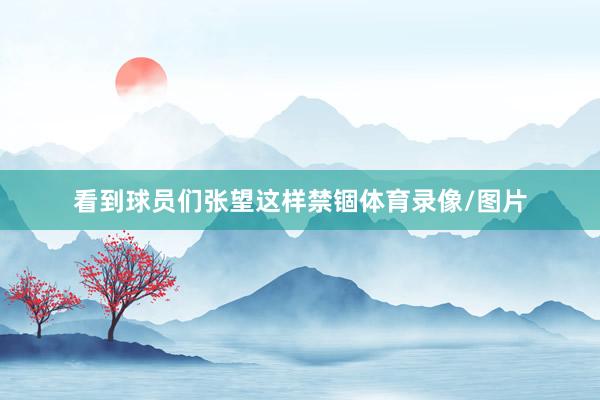 看到球员们张望这样禁锢体育录像/图片