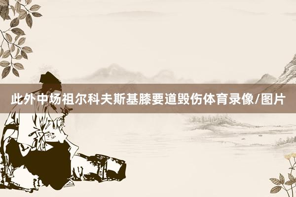 此外中场祖尔科夫斯基膝要道毁伤体育录像/图片