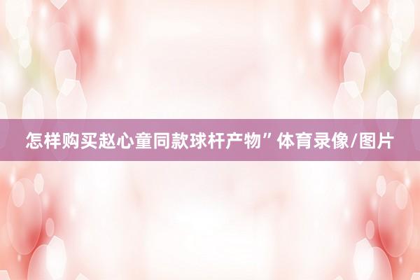 怎样购买赵心童同款球杆产物”体育录像/图片