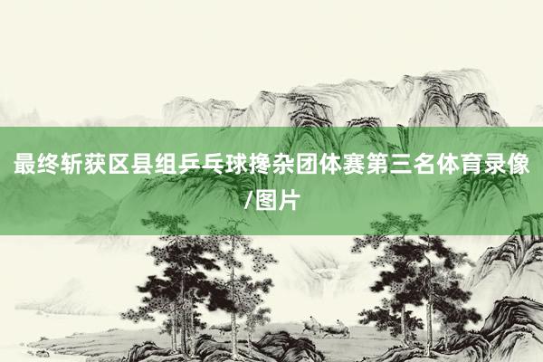 最终斩获区县组乒乓球搀杂团体赛第三名体育录像/图片