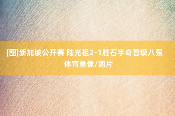 [图]新加坡公开赛 陆光祖2-1胜石宇奇晋级八强    体育录像/图片