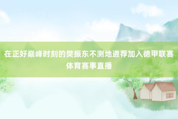 在正好巅峰时刻的樊振东不测地遴荐加入德甲联赛体育赛事直播