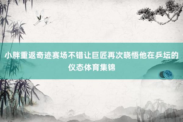 小胖重返奇迹赛场不错让巨匠再次晓悟他在乒坛的仪态体育集锦