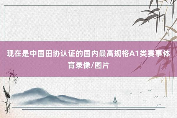 现在是中国田协认证的国内最高规格A1类赛事体育录像/图片