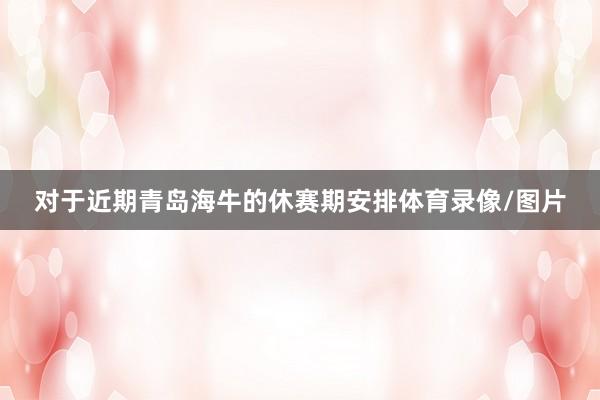 对于近期青岛海牛的休赛期安排体育录像/图片