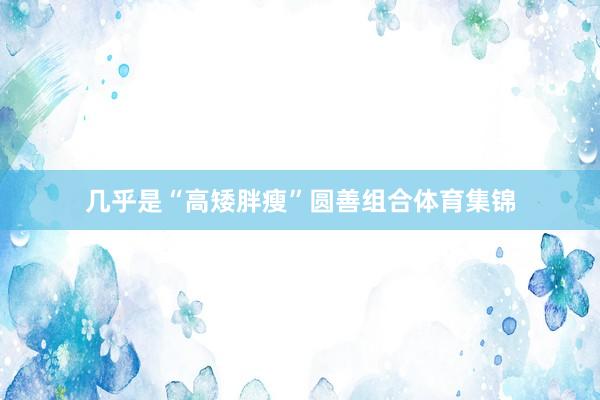 几乎是“高矮胖瘦”圆善组合体育集锦