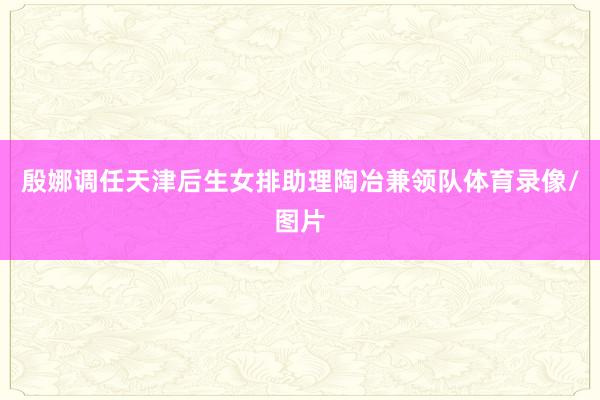 殷娜调任天津后生女排助理陶冶兼领队体育录像/图片