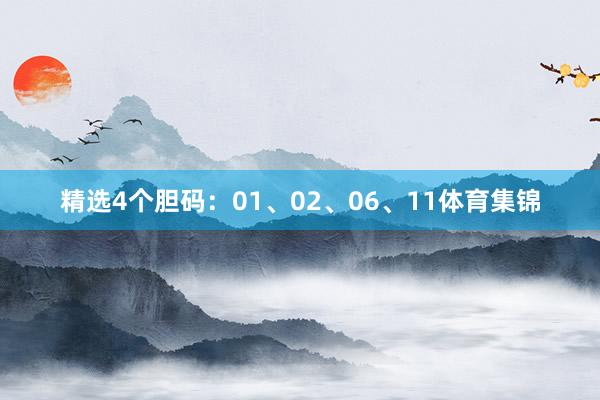 精选4个胆码：01、02、06、11体育集锦