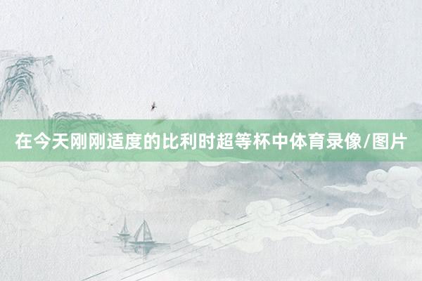 在今天刚刚适度的比利时超等杯中体育录像/图片