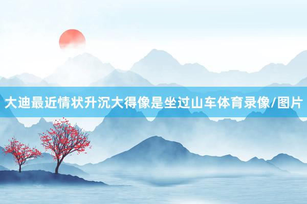 大迪最近情状升沉大得像是坐过山车体育录像/图片