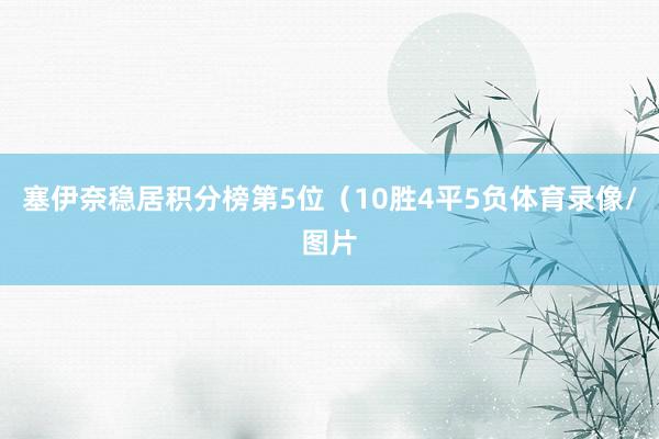 塞伊奈稳居积分榜第5位（10胜4平5负体育录像/图片