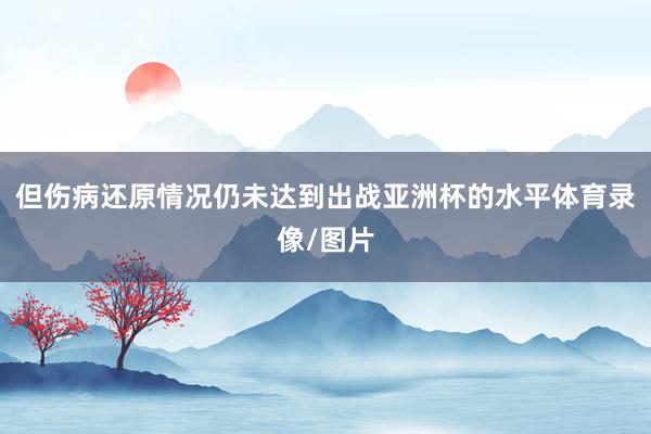 但伤病还原情况仍未达到出战亚洲杯的水平体育录像/图片