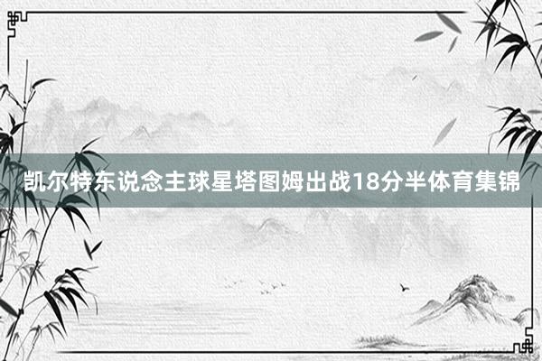 凯尔特东说念主球星塔图姆出战18分半体育集锦