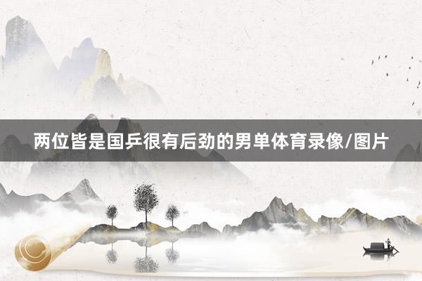 两位皆是国乒很有后劲的男单体育录像/图片