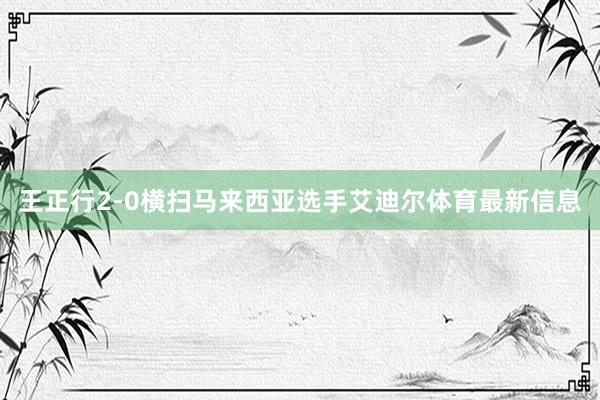 王正行2-0横扫马来西亚选手艾迪尔体育最新信息