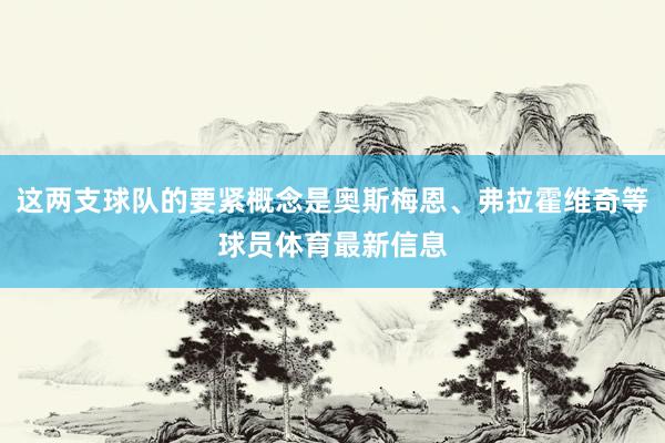 这两支球队的要紧概念是奥斯梅恩、弗拉霍维奇等球员体育最新信息